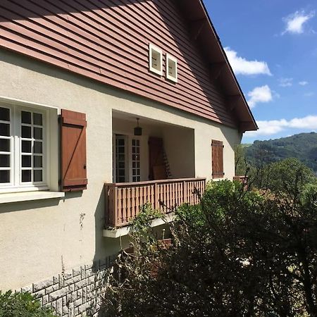 Grande Maison Confortable A Bagneres Kültér fotó